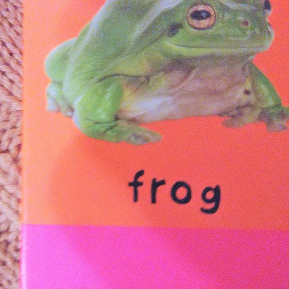 First 100 Words Board Book Roger Priddy baby language kid children language Nice - Picture 6 of 8